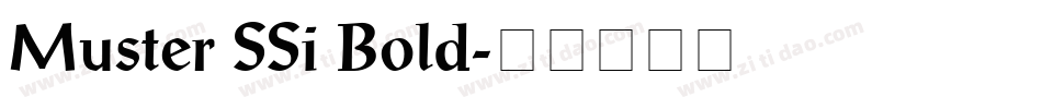 Muster SSi Bold字体转换